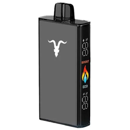 Ignite V250 - 25 mil puffs